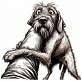 Wirehaired Vizsla Shirt | Velcro Dog Funny Tee | Wirehaired Vizsla Gift | Dog Mom Shirt
